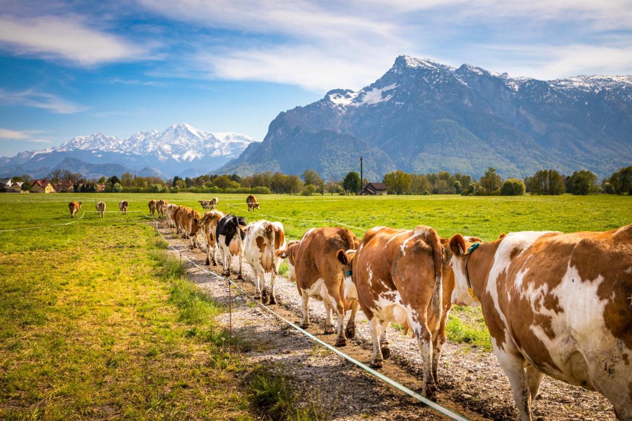 Ferienhaus Schlagerbauer Biohof Salzburg Bagian luar foto