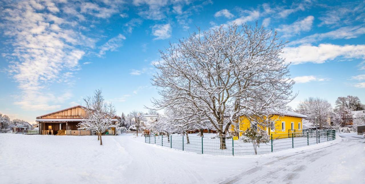 Ferienhaus Schlagerbauer Biohof Salzburg Bagian luar foto
